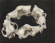 totentanz1