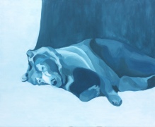 baerschlafend