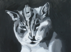 katzenanschluss2
