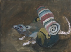 Packratte