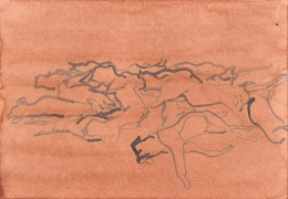 tannin5