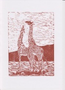 giraffen
