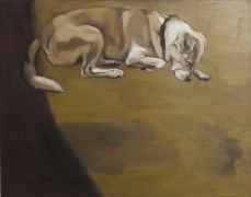 lightsleep