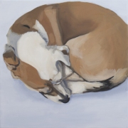 schlafenderhund