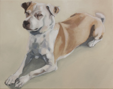 sphinx