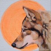wolfp2