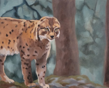 luchs