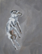 fliegender-hund