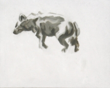 hyaene2