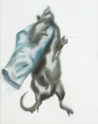 ratte